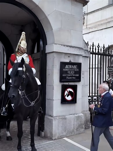 Tourist shows respect to the king’s guard… crowd reacts #kingsguard #horseguardsparade #horse #buckinghampalace #london #fyp