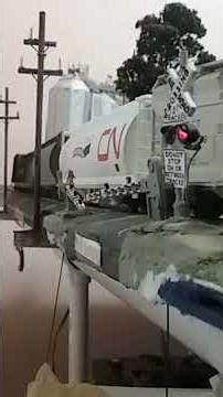Central Michigan 5175 #train #modeltrains
