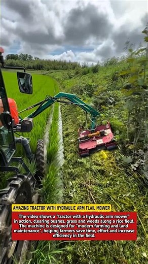 Amazing Tractor with Hydraulic Arm Flail Mower | Modern Farming Machine Cutting Bushes & Grass.