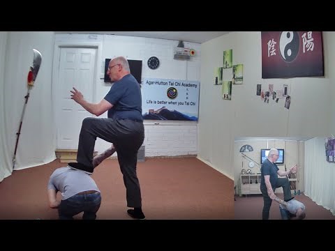 Tai Chi for Fighting / Self Defence - 2