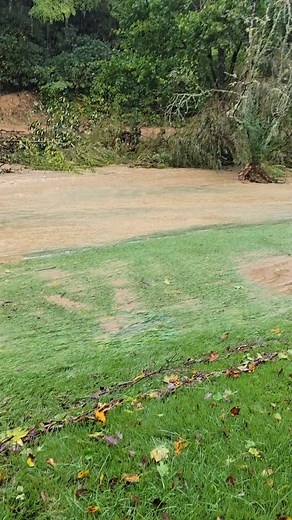 2.1K reactions · 114 shares | Helen Pace on Reels | Facebook