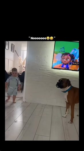 only enjoy on Instagram: "This video shows a natural interaction between a young child and a dog, which is an important example of early human–animal bonding. Studies in child development and animal behavior show that supervised interactions with pets can help toddlers develop empathy, emotional awareness, and social skills from a very early age. Dogs, especially well-socialized breeds, are highly sensitive to human body language and facial expressions, allowing them to remain calm and attentive