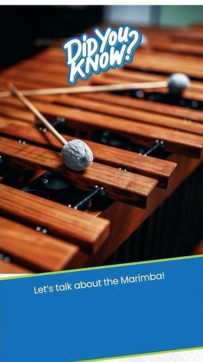 The Marimba | Musical Minute | Green Bean's Music