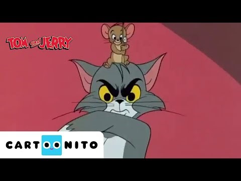 Tom en Jerry | Klassieke Tekenfilms | Wilde achtervolgingsmomenten | MEGA Compilatie | Cartoonito