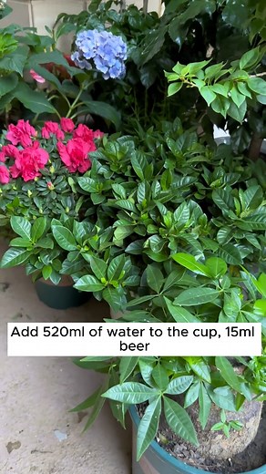 3.2K views · 32 reactions | Adding nutrients to fertile soil #gardeningfun #gardening_feature #urbangardening #gardeninguk #gardeningphoto #gardeningistherapy #gardening101 #gardeningisfun #gardeningtime #gardeningday #gardeningproblems #gardeninggoals #gardeningideas #gardeninglove #gardening4pleasure #gardeningtips #gardeningmakesmehappy | Home Gardening | Facebook