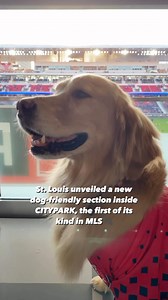 385K views · 439 reactions | More pups in stadiums? You better believe we’re here  for  it  | Major League Soccer (MLS) | Facebook