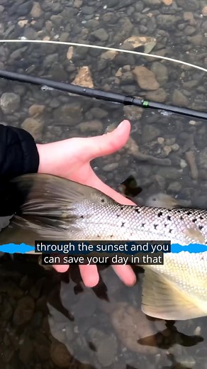 Imagine picking up a fly rod for the first time and landing a 29-pound sea-run brown trout! @max_kantor shares the wild story of how the right line made all the difference. What’s the biggest fish you’ve ever caught by surprise?"  | Wet Fly Swing | Facebook