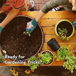 3.4K reactions · 562 shares | It’s all sent right to your inbox. Sign up for the newsletter from the most trusted name in gardening. | Miracle-Gro | Facebook