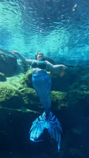 Mermaid Clara on Instagram: "unfortunately i did not remember to take a single picture or video during spring splash this weekend, but i got mermaids on my mind so please accept this instead 📸: @all_thingz_mermaid 🧜‍♀️: @finfolkproductions . . #mermaid #mermaidsarereal #mermaidsofinstagram #fatmermaid #plussizemermaid #fatpositivity #bodypositivity #floridaspringsmermaids #floridasprings #underwaterlife #freediver #freedivegirls #finfolk #finfolkproductions"