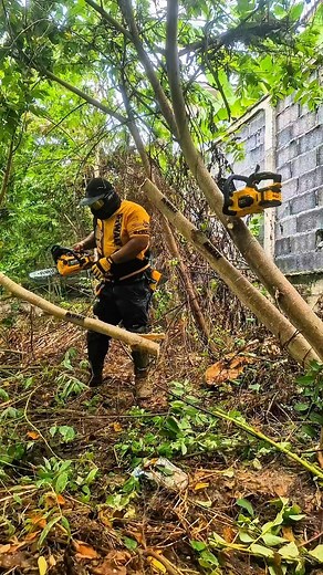 โด้นแล่ว โด่นแล่ว | Monster Dc