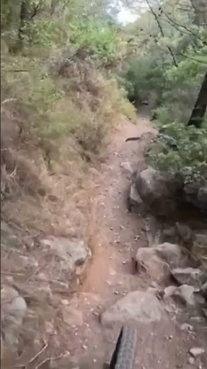 Training for Copa Andalucía