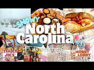 #148【NCvlog】ハワイから大雪のノースカロライナへ⛄️１週間アメリカンフード縛り🍔ハワイにないお店で爆買い🛍️