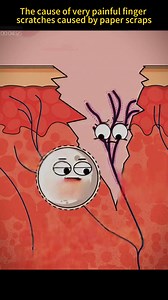 #paper #scraps #scratch #finger #painful #foryou #fyp #sciencefacts #mathematics#physics#life #subject #science #quantumphysics, #fyp #foryou #tiktok #lnteresting#science#physics | Sience