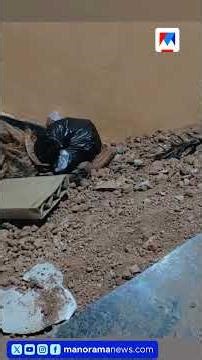 എട്ടുമാസം പ്രായമുള്ള കുഞ്ഞിനെ ബലിനൽകാൻ ശ്രമം