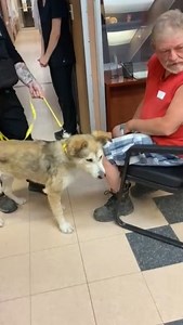 51K views · 2.3K reactions | Here’s a flashback to Miracle’s Go Home moment this past weekend! With a story like his, and how long he’s been with us in recovery, this moment called for a standing ovation. Miracle gained a new home, a new dad AND a new fur sister — his dad said he loves to watch them run and play together in the backyard. Here’s to your Happily Ever After, Miracle! | Regina Humane Society | Facebook