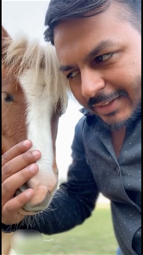 Mini horse 🐎 farm 😱✨ #shorts