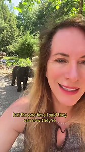 Medicare Advantage plan benefits vary by plan and may not be available in your zip code. Benefits change annually. Some plans require both Medicare and Medicaid. These are not benefits from the government but from private Medicare. . . . #medicareadvantage #medicareadvantage #medicareadvantageplans #mapd | The Medicare Family | Facebook