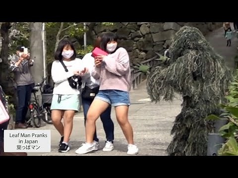 葉っぱマン - Leaf Man - in Japan
