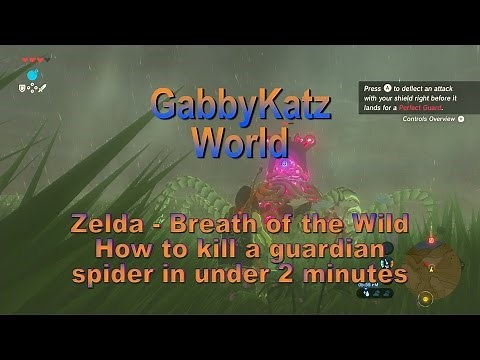 Zelda - Breath of the Wild (How to kill a Guardian Spider in under 2 mins)