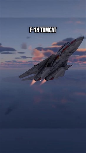 The Jet That Controlled the Skies | F-14 Tomcat | Desert Storm