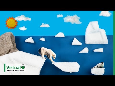 Grade 4 Science: A World of Habitats