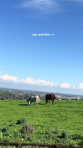 the eucalyptus loop trail hike 🐮#hike | hiking