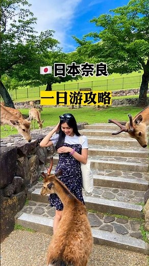 🇯🇵🦌最完美的日本奈良一日游攻略 #奈良 #日本旅游 #奈良一日游 #興福寺 #依水園 #東大寺 #奈良鹿 #春日大社 #若草山 #東向商店街 #京都 #大阪 #旅行攻略