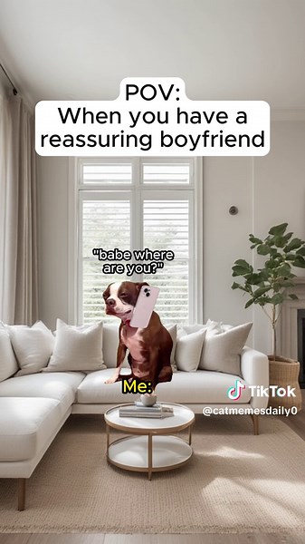 Cat Relationship Memes to Share with Him