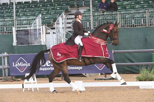 What to wear at dressage competitions – your complete guide