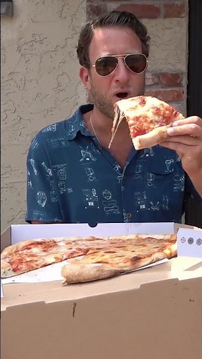 As A 3 Time Bee Sting Survivor This Was A Masterclass On How Not To Get Stung