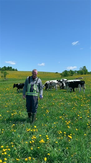 670 reactions · 123 shares | Did you know? Behind every dairy product you enjoy, there's a dedicated team of New Brunswickers working tirelessly to ensure the milk meets some of the highest standards. 拏✨ - Le saviez-vous? Derrière chaque produit laitier que vous aimez tant, il y a une équipe dévouée de Néo-Brunswickois qui travaillent sans relâche pour s'assurer que le lait répond à certaines des normes les plus strictes. 拏✨ | Dairy Farmers of New Brunswick | Facebook
