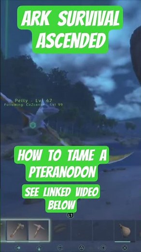 Ark Survival Ascended how to tame a Pteranodon