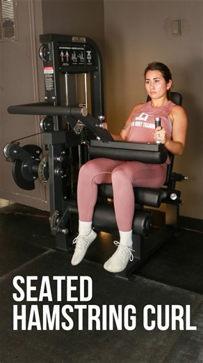 Seated Hamstring Curl