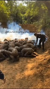 2.4K views · 3.7K reactions | PARA SF Commando training ⚔️亮❣️❤️‍啕..! Raushan racer yadav  athletes life # | Raushan Racer Yadav | Facebook