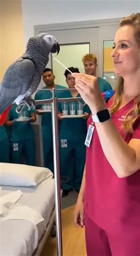 Sponge Bath Gone Wrong😄😄 #talkingbird #talkingparrot #funnybirds #funnypetvideos | Talk with Buddy