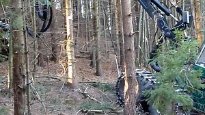 High-Tech Forestry Machines for Efficient Logging