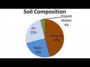 Soil Composition