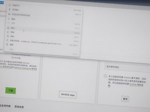 显卡驱动更新自己想要的版本教程