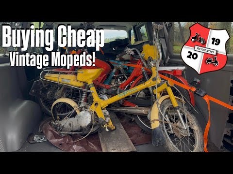 Buying Cheap Mopeds!