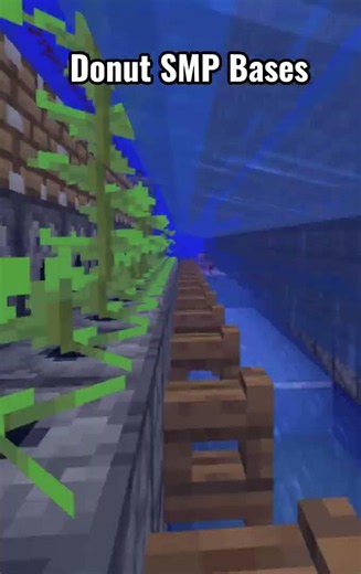 Normal Base vs Donut SMP Bases #foryou #minecraft #replaymod #donutsmp #drdonut #fyp #subscribe