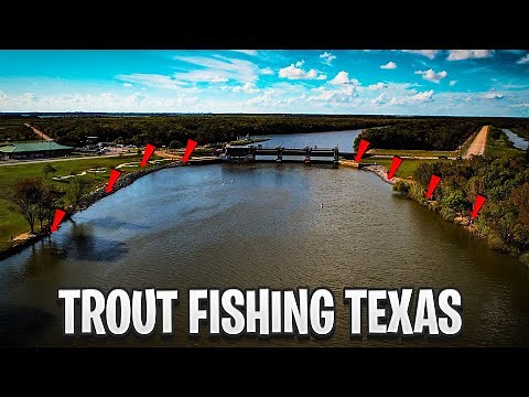 Trout Fishing Texas: Wallisville Dam | Limit Out On Trouts | Catch And Clean