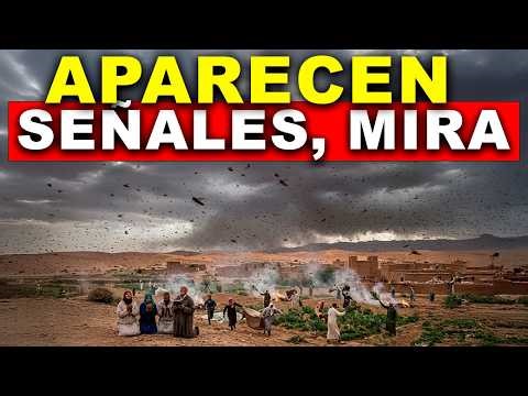 THESE ARE SIGNS! SOMETHING POWERFUL IS APPROACHING THE WORLD. Millions of locusts darken the skies.