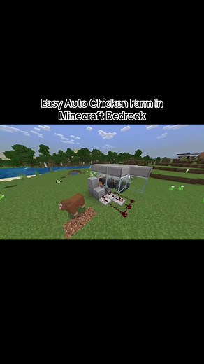 Best and Easiest Auto Chicken Farm for Minecraft Bedrock #fy #f #foryou #clips #not_nolife #twitch #minecraft