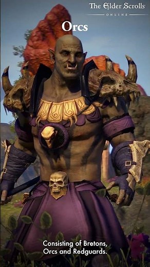 Daggerfall Covenant, Aldmeri Dominion, or Ebonheart Pact? 🛡