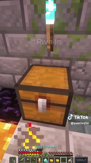 Discover a Secret Passage in Minecraft Gameplay