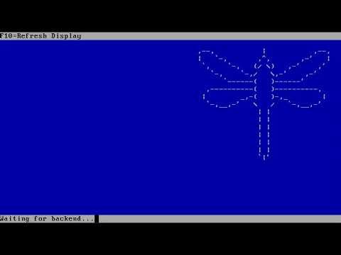 Visi di Balik Capung Mengapa DragonFlyBSD Tetap Bertahan Sejak 2003