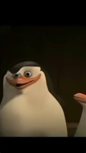 kaboom? yes rico KABOOM- #loud #explode #penguin @b3conzz
