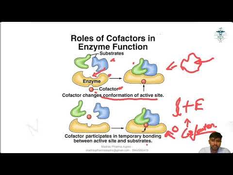 BIOCHEMISTRY Series (Enzymes) Tamil #gpat #pharmacist #neet #mrb #rrb
