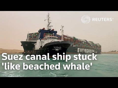 Suez canal ship stuck 'like beached whale'