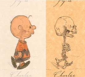 Cartoon character skeletons